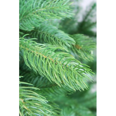 Choinka Westbrook 240 cm - RemiDecor.pl