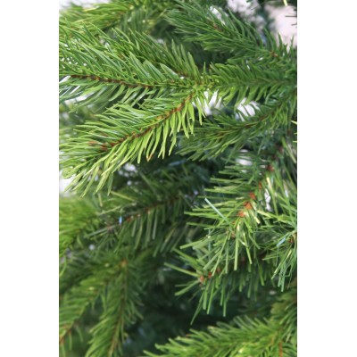 Choinka Anson 180 cm - RemiDecor.pl